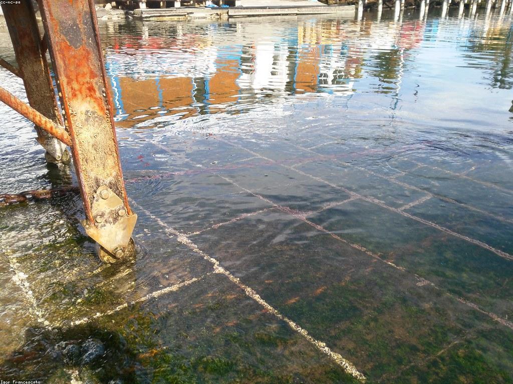 ប្រវត្តិ និងវប្បធម៌នៃកាស៊ីណូ